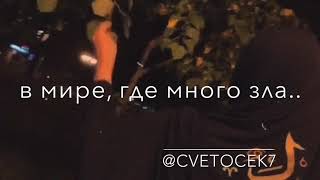 Cvetocek7 - Память